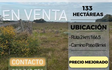 Campo de 133 hectáreas en el departamento de Colonia
