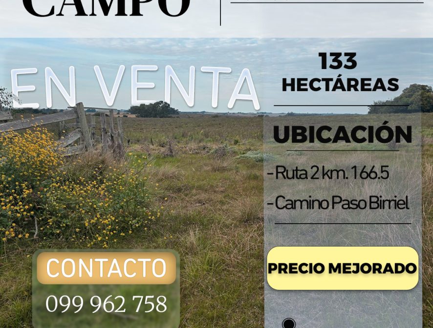 campo