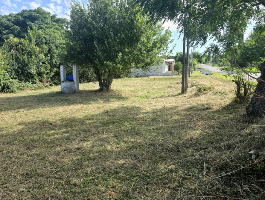 IMG-20260126-WA0008(1)